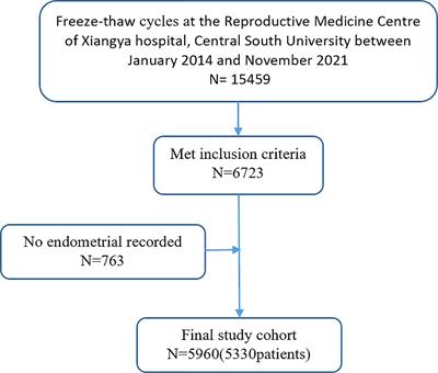 An Endometrial Thickness < 8 mm Was Associated With a Significantly Increased Risk of EP After Freeze-Thaw Transfer: An Analysis of 5,960 Pregnancy Cycles